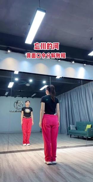 糖豆舞蹈大全广场舞教学视频缩略图