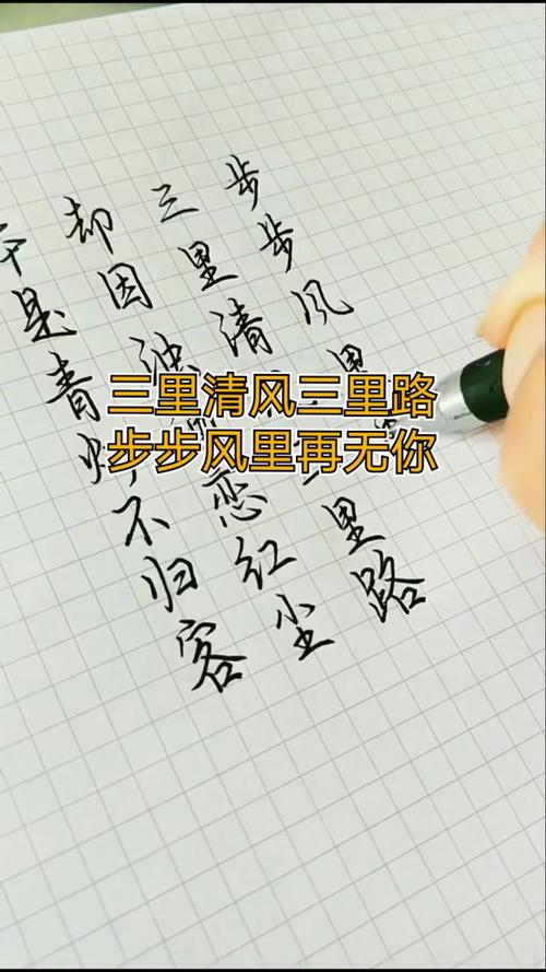 三里清风三里路,步步风里步步你图标