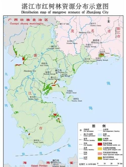 红树林分布最广的地方图标