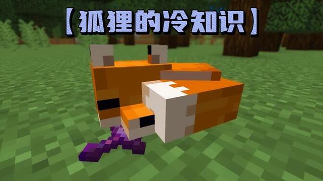 我的世界狐狸冷知识