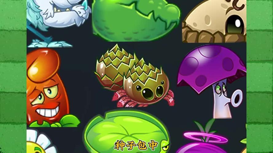 植物大战僵尸国际版爆炸蜘蛛