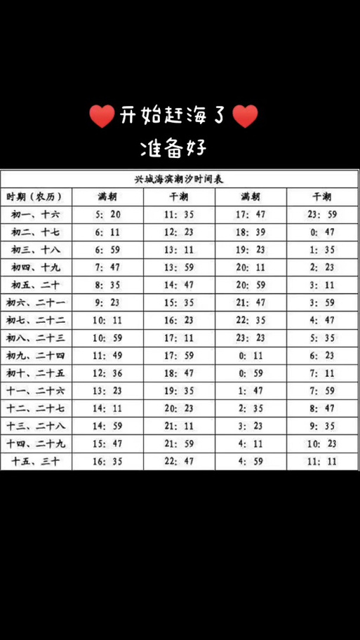 潮汐表赶海缩略图