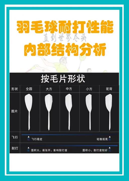 羽毛球特点缩略图