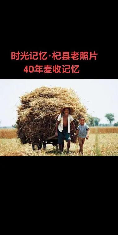 抖音老旧版本大全所有历史版本缩略图