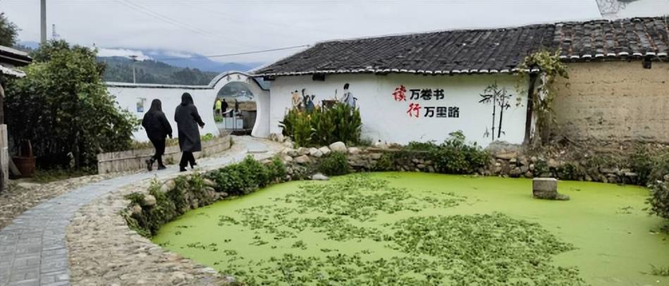 万书网乡村txt应用介绍缩略图