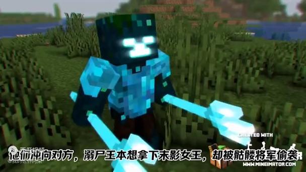末影女王vs溺尸缩略图