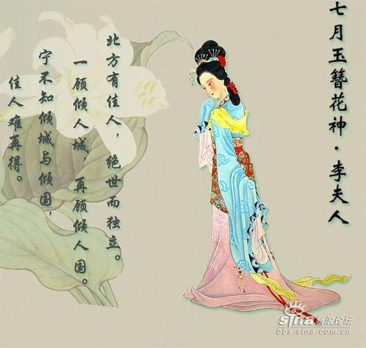 佳人歌词含义