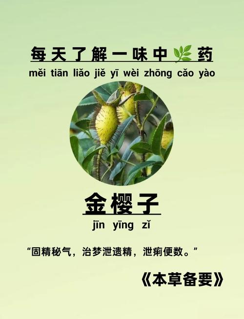 金火宝的核心作用是什么图标