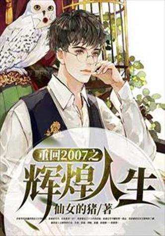 重回2007之辉煌人生缩略图