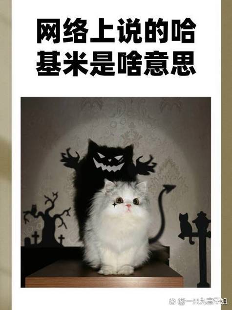 哈基米暗指女人什么图标
