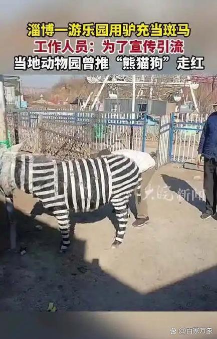 斑马视频去除广告缩略图