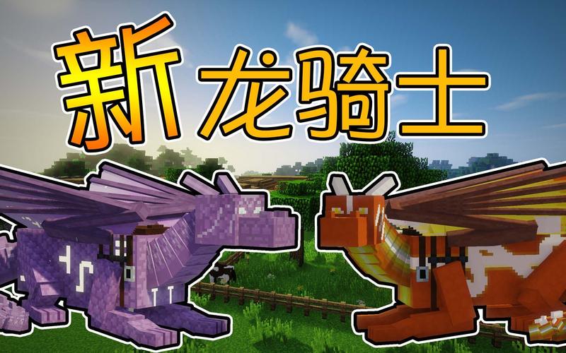我的世界龙骑士3游戏截图