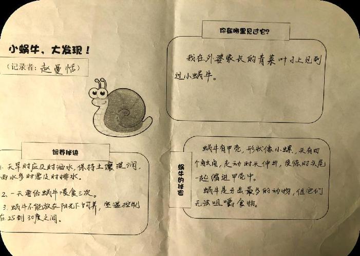 蜗牛睡眠的记录准吗缩略图