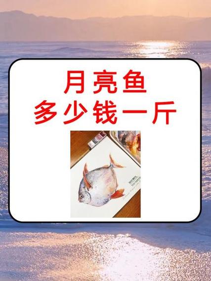 鱼多少钱一条图标