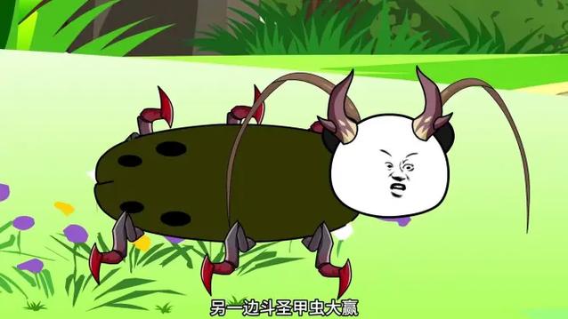 螳螂的良程第二季免费观看缩略图
