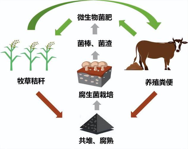简述能量的转化与守恒定律图标
