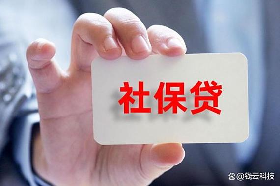社保贷款的借款平台缩略图