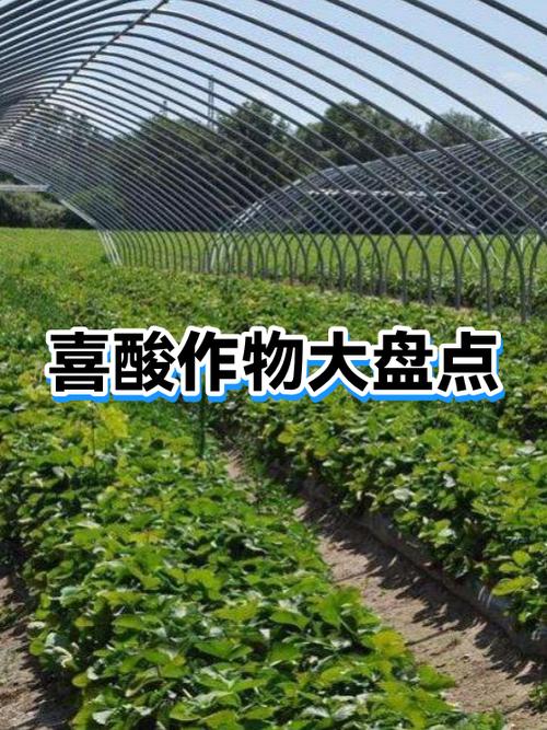 ph值对照表游戏截图