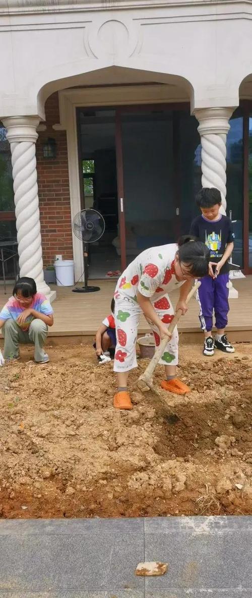 乡村暑假生活下载缩略图