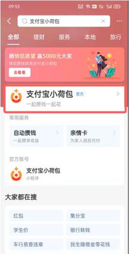 小荷包1总转入一元钱