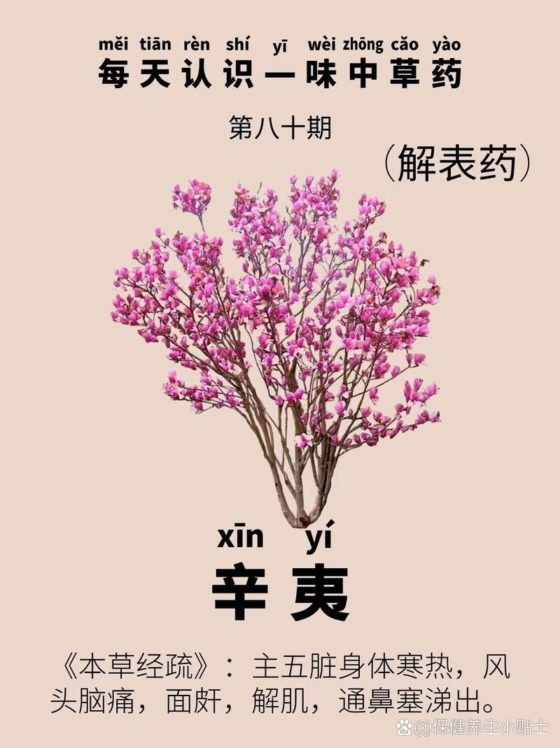 辛夷煎多久
