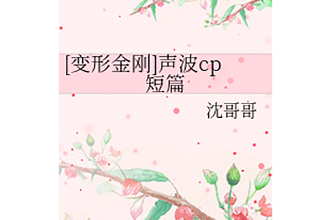 声波小说缩略图