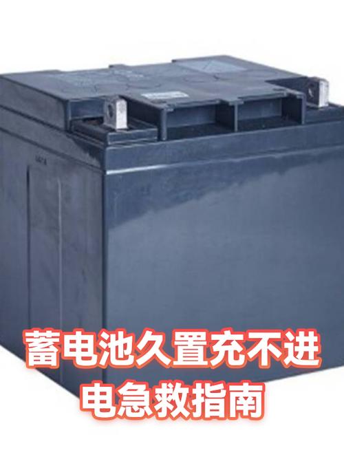 新电瓶放久了充不进电怎么办缩略图