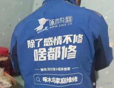 啄木鸟师傅接单app叫什么缩略图