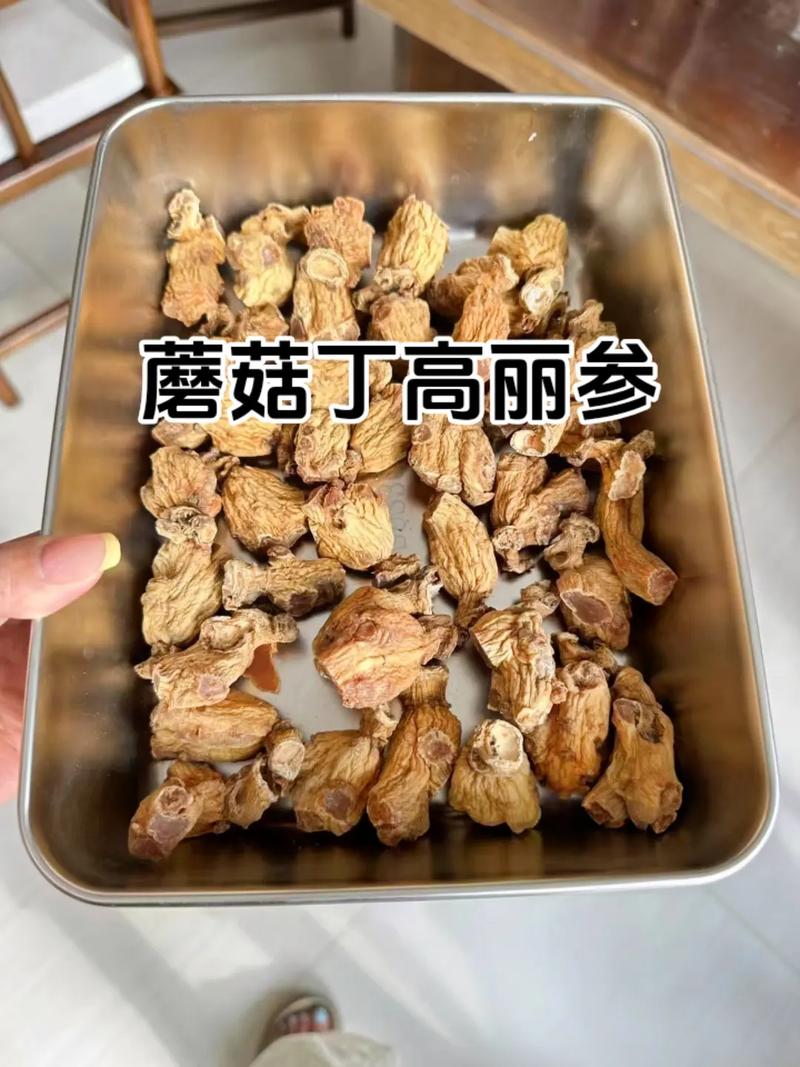 蘑菇丁可以补签吗缩略图