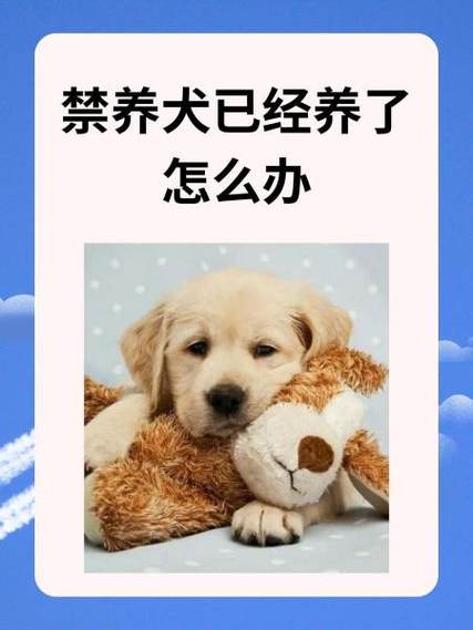 爱奇艺区域限制缩略图