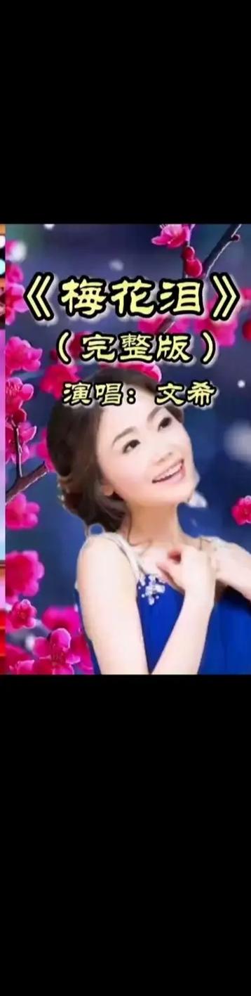 梅花泪歌曲原唱游戏截图