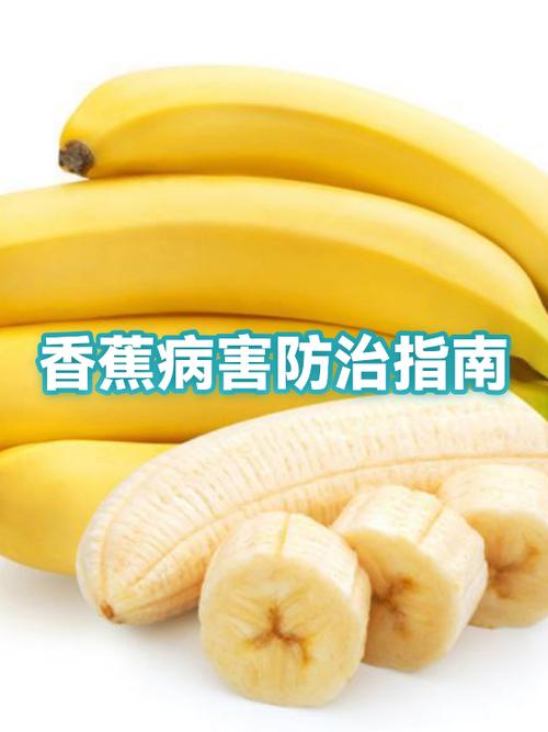 挑选香蕉的方法缩略图