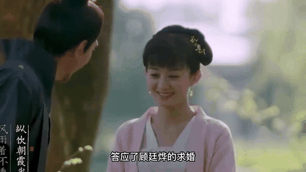 综视红楼:从娶妻明兰开始