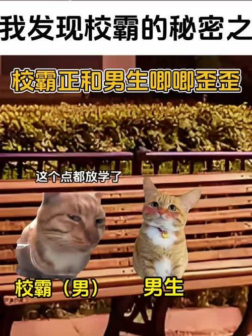 发现了校霸的秘密之后免费阅读