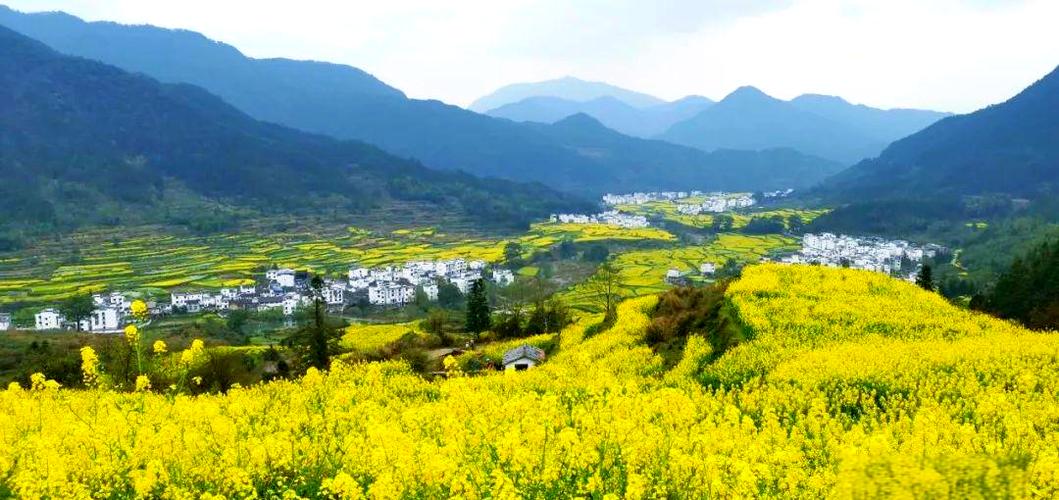 江西婺源几月份去最好缩略图