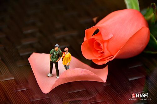 花瓣聊天缩略图
