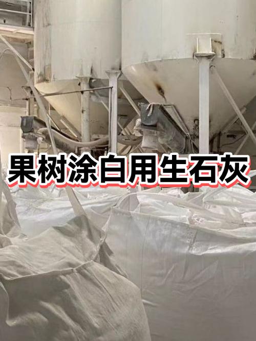 刷树用生石灰还是白灰