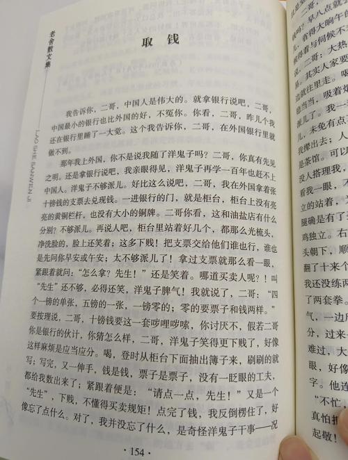 爱文者骗了多少书缩略图