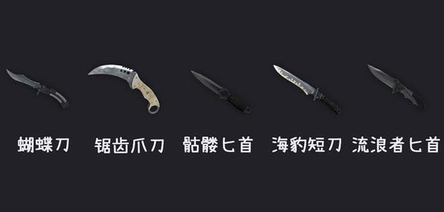 CS2武器皮肤没了图标