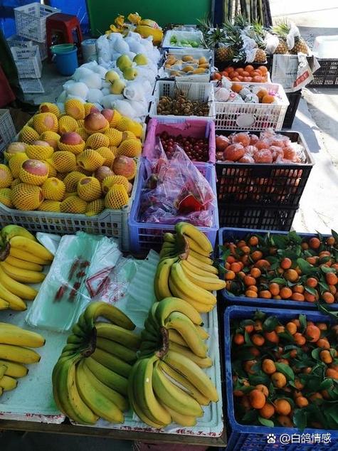 最新地摊卖水果顺口溜图标