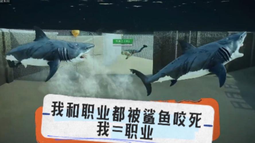鲨鱼的职业经历
