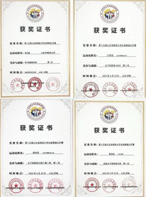 跆拳道证书个人查询图标