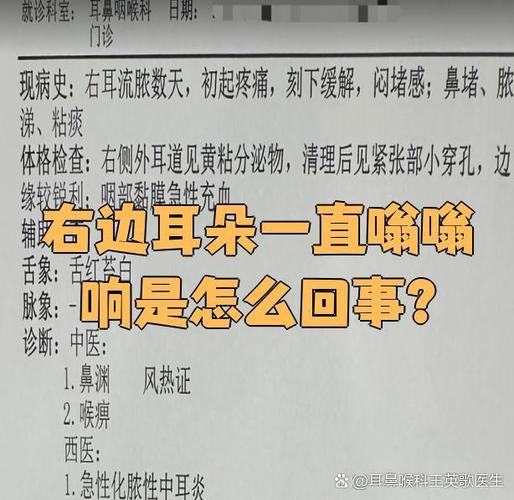 右耳朵耳鸣嗡嗡响缩略图