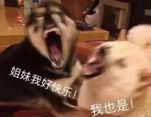 2026沙雕姐妹相聚最火文案图标