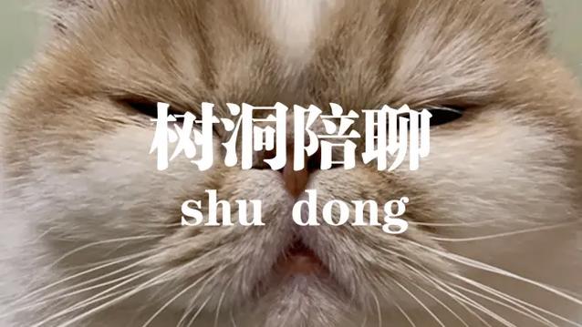 树洞倾听兼职游戏截图