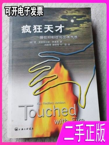 轻度躁狂症是天才吗游戏截图