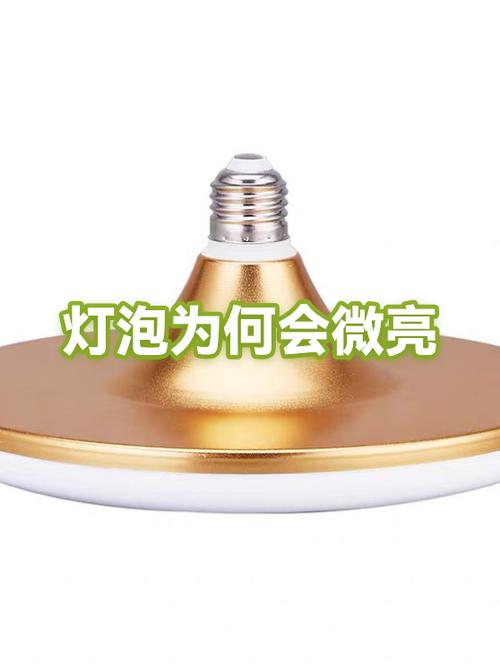 灯泡关掉还一直微亮什么原因游戏截图
