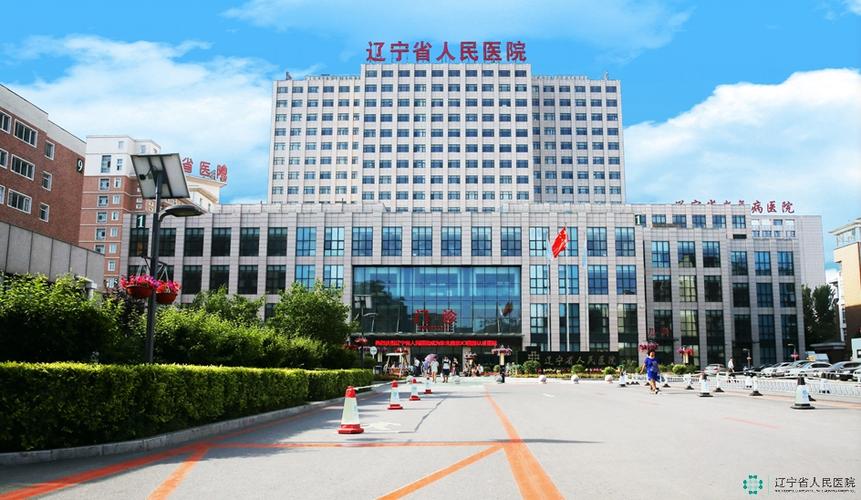 辽宁省人民医院官网图标