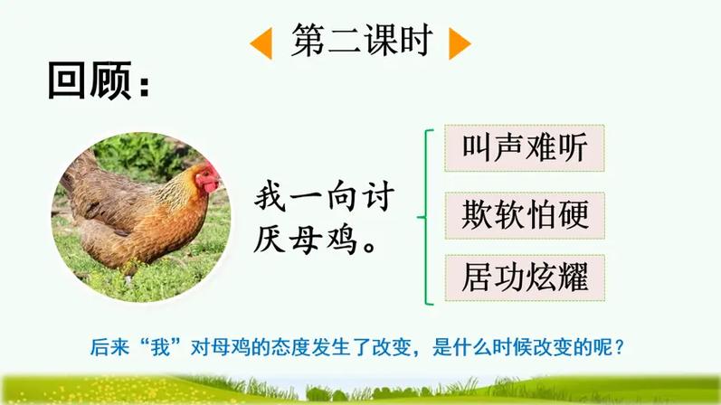 《母鸡》教学视频缩略图