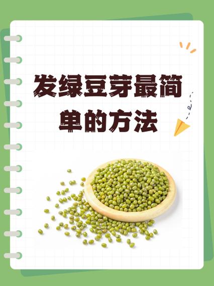 怎么用绿豆生豆芽缩略图